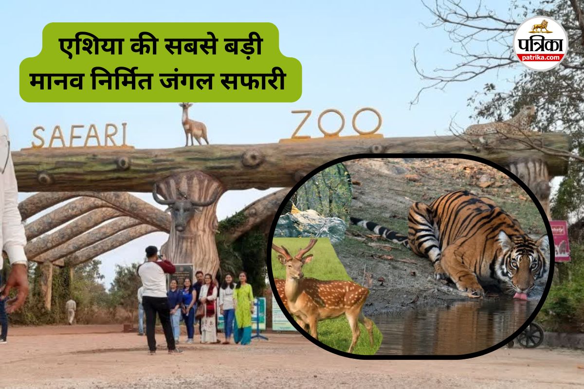 जानें कहां है एशिया का सबसे बड़ा मानव-निर्मित सफारी? प्रकृति का अद्भुत नजारा देखने देश-विदेश से आते हैं पर्यटक