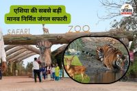 एशिया का सबसे बड़ा मानव-निर्मित सफारी (Photo source- Patrika)