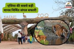 जानें कहां है एशिया का सबसे बड़ा मानव-निर्मित सफारी? प्रकृति का अद्भुत नजारा
देखने देश-विदेश से आते हैं पर्यटक - image