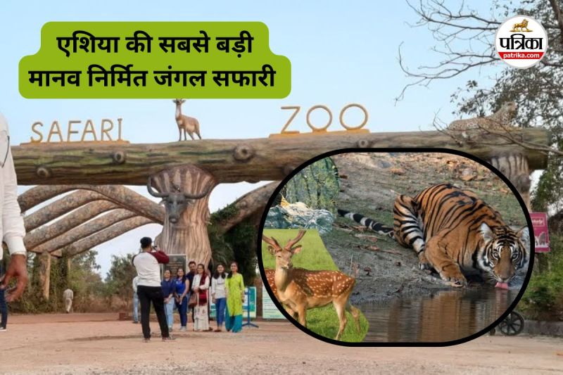 एशिया का सबसे बड़ा मानव-निर्मित सफारी (Photo source- Patrika)