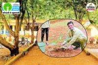 हरित प्रदेश अभियान (Photo source- Patrika)