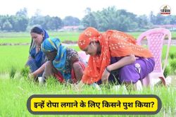 मंत्री लक्ष्मी राजवाड़े का कुर्सी पर बैठकर रोपा लगाते फोटो वायरल, कांग्रेस ने
कसा तंज, लिखा- इन्हें रोपा लगाने के लिए किसने पुश किया - image