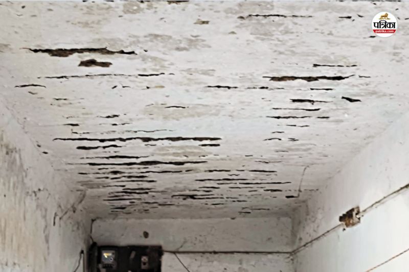 छत की दिखने लगी सरिया (फोटो सोर्स- पत्रिका)