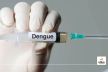 Dengue Vaccine: Experts Announce Breakthrough