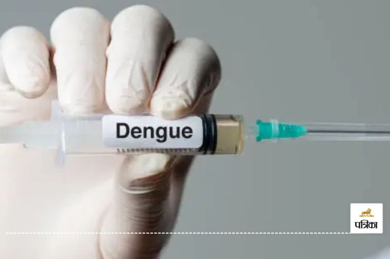 Dengue (Photo: Unsplash)