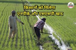 किसानों को बड़ी राहत! डीएपी के बदले मिलेगा भरपूर एनपीके और एसएसपी - image