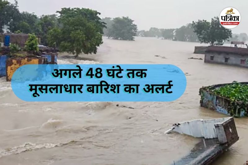 गोदावरी नदी उफान पर (Photo source- Patrika)