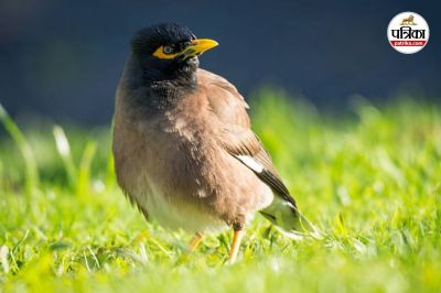 Short video poster image