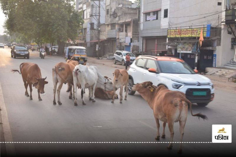 सड़कों की बदहाली पर हाईकोर्ट सख्त(photo-patrika)
