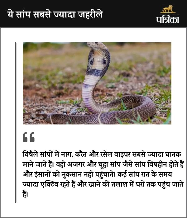 World Snake Day 2025: सांप देख छूट जाते है पसीने, यह सच जान खत्‍म हो जाएगा डर, जानें छत्तीसगढ़ के 'स्नेकमैन’ की कहानी