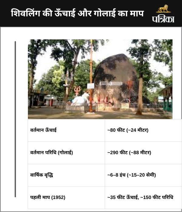 ऊँचाई लगभग 80 फीट और गोलाई (परिधि) लगभग 290 फीट
