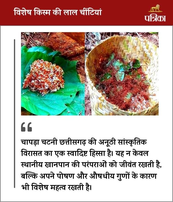 Chhattisgarh Chapra Chutney