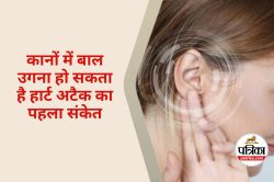 Coronary Artery Disease : क्या कान पर बाल निकलना किसी बीमारी का है संकेत, जानिए
सच्चाई - image