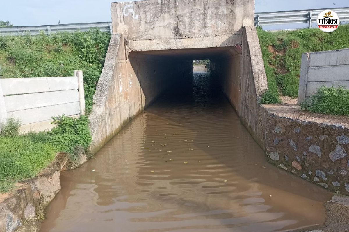Rajasthan: दिल्ली-मुंबई एक्सप्रेस वे पर ग्रामीणों के लिए अण्डरपास तो बने, लेकिन
अब खड़ी हो गई नई समस्या