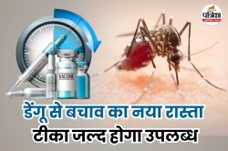 Dengue Vaccine Update: डेंगू से बचाव के लिए जल्द आ रहा है वैक्सीन, विशेषज्ञों ने
दी खुशखबरी! - image