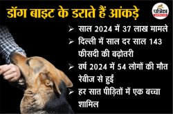 Dog Bites: देश में 37 लाख से ज्यादा डॉग बाइट्स के मामले, मंत्री ने दी जानकारी,
सुप्रीम कोर्ट ने Rabies से मौतों पर लिया संज्ञान - image