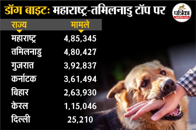 Rabies Deaths In India