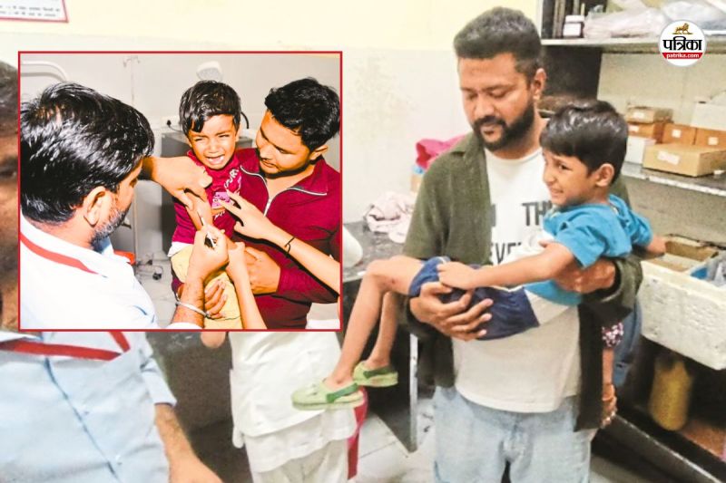 Rajasthan Bhilwara city in 2 hours Dogs bite 35 people panic prevails