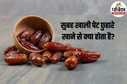 Dry Dates Benefits: छुहारे से करें दिन की शुरुआत, मिलेगा जबरदस्त एनर्जी बूस्ट और
डाइजेशन बेनिफिट - image