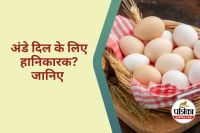 Eggs Harmful for the Heart