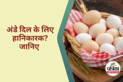 Eggs Harmful for the Heart : क्या रोज अंडा खाना बना सकता है दिल को बीमार? - image