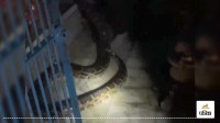 Entry of python in Shiva temple caused stir in Bijnor