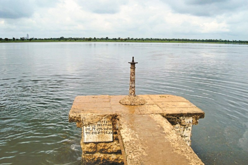 जुलाई की बारिश से मिली किसानों को बड़ी राहत (Photo source- Patrika)