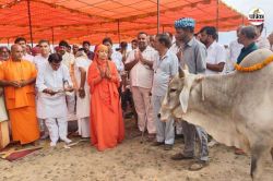 राजस्थान में यहां बनेगी देश की सबसे बड़ी गौशाला, 1000 करोड़ रुपए होंगे खर्च - image