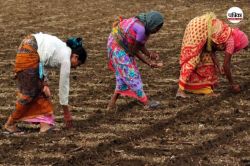 PM Kisan से लेकर सरकार की ये टॉप 5 योजनाएं देंगी फायदा, जानिए नाम - image