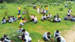 हरयाळो राजस्थान : ‘विद्यार्थियों ने पौधे रोपकर बनाया पौधों से नया रिश्ता’ - image