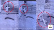 Guard died in agony after gate fell in Moradabad