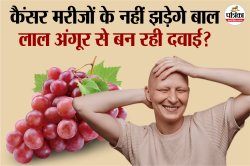 Hair Loss After Chemotherapy : कैंसर मरीजों के लिए बड़ी खुशखबरी! कीमो से बाल
झड़ना होंगे बंद - image