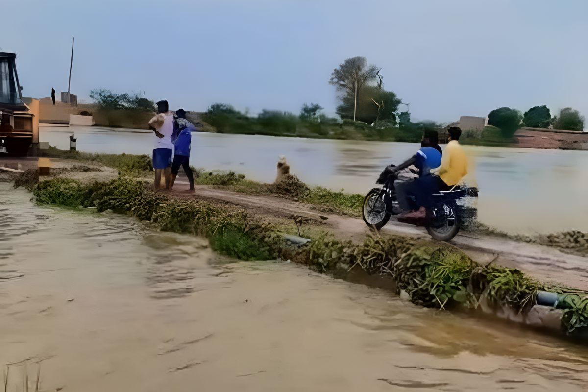 Hanumangarh: घग्घर नदी मार रही उफान, याद दिला रही 1995 की घटना, पाकिस्तान की तरफ
तेजी से बढ़ रहा पानी