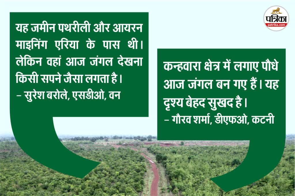 एमपी का कटनी वन परिक्षेत्र