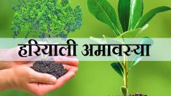 हरियाली अमावस्या पर 25 साल बाद रवि पुष्य व शिववास योग, इनको होगा सीधा फायदा - image