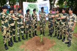 हरयाळो राजस्थान : जोधपुर में हरियाली का शंखनाद, जवानों ने लिया पर्यावरण संरक्षण
का संकल्प - image