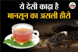Monsoon Healthy tips: मानसून में सेहत का सच्चा साथी, जानें तुलसी और काली मिर्च
के काढ़े के फायदे - image