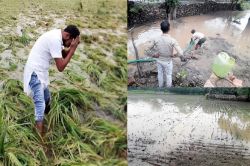 Very Heavy Rain: राजस्थान में यहां बारिश का कहर, अतिवृष्टि से जलमग्न हुई फसलें,
मोटर पंप से बाहर निकाल रहे खेतों में भरा पानी - image