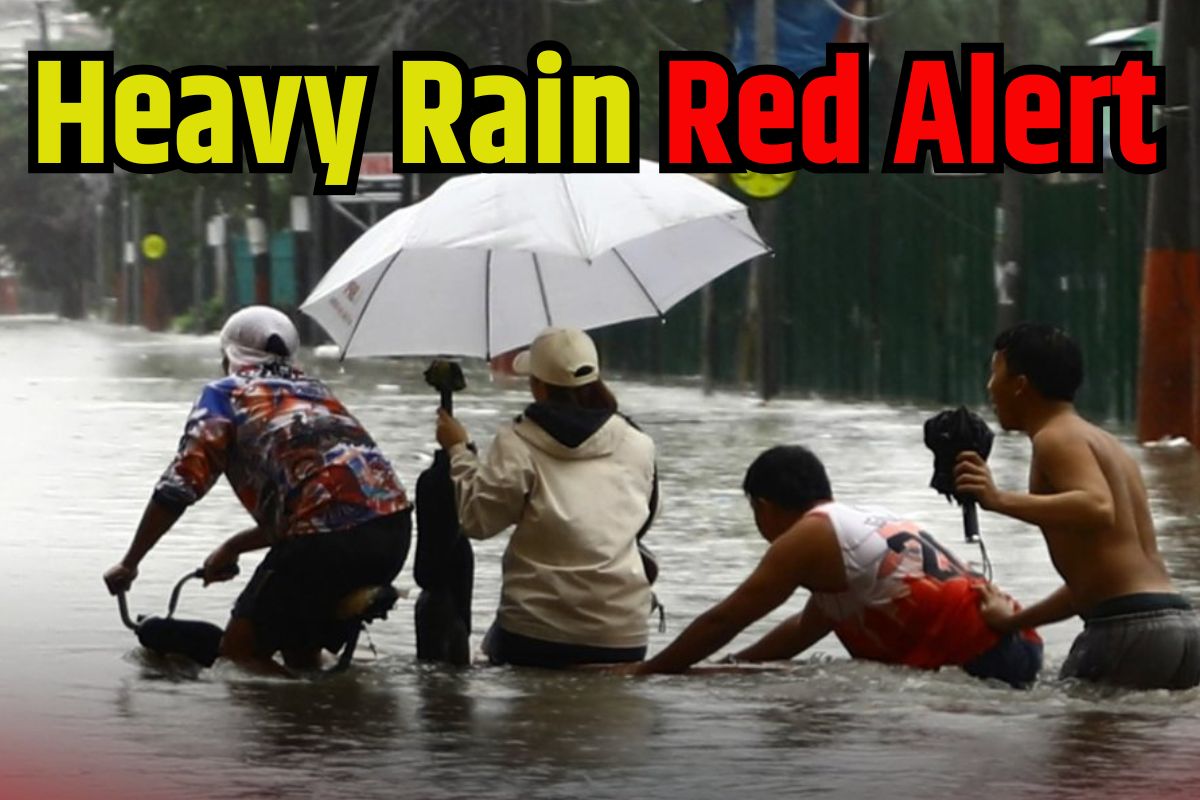 Heavy Rain Red Alert: पूर्वी दिल्ली समेत इन आठ जिलों में बारिश का रेड अलर्ट, कभी
भी बदल सकता है मौसम का मिजाज