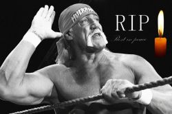 WWE के रेसलर हल्क होगन का निधन, इंडस्ट्री में शोक की लहर, वरुण धवन ने भी ऐसे
किया रिएक्ट - image