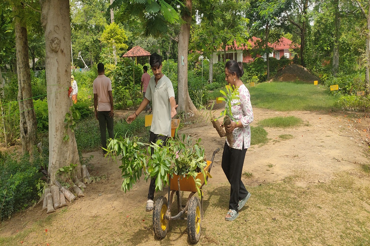 Green Jaipur की ओर बढ़ता कदम, शहरवासियों में मची पौधे खरीदने की होड़, देखें
तस्वीरें
