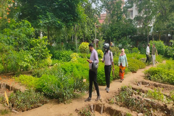 मानसून को पौधरोपण के लिए सबसे उपयुक्त माना जाता है, ऐसे में वन विभाग ने पौधों की बिक्री शुरू कर दी है। जयपुर में स्थित सचिवालय वन पौधशाला में आज सुबह बड़ी संख्या में लोग पौधे खरीदते नजर आए।