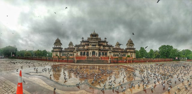 albert hall jaipur 