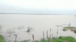 गंगा का जलस्तर चेतावनी बिंदु के पहुंचा नजदीक, हरिद्वार और नरौरा बांध से भी छोड़ा
का जल - image