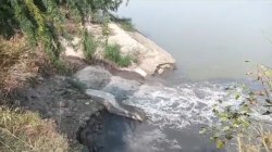 सीवेज ट्रीटमेंट प्लांट से सीधे गंगा में बहाया गया प्रदूषित पानी, लगाया गया 9 लाख
33 हजार का जुर्माना - image