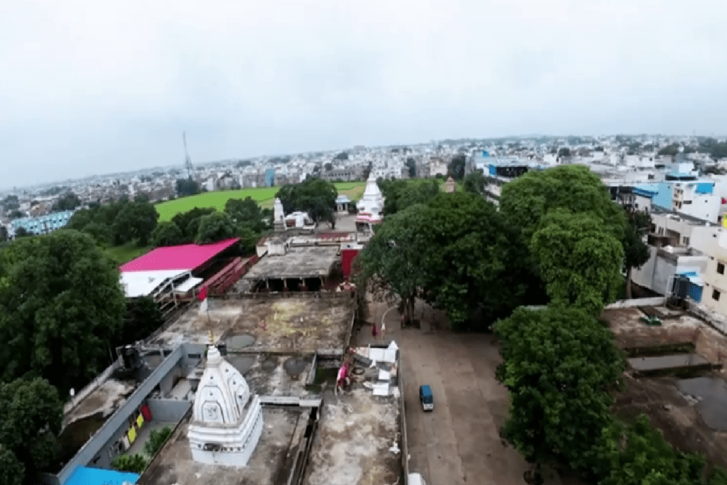 Indore Hanuman Mandir, Parrots 