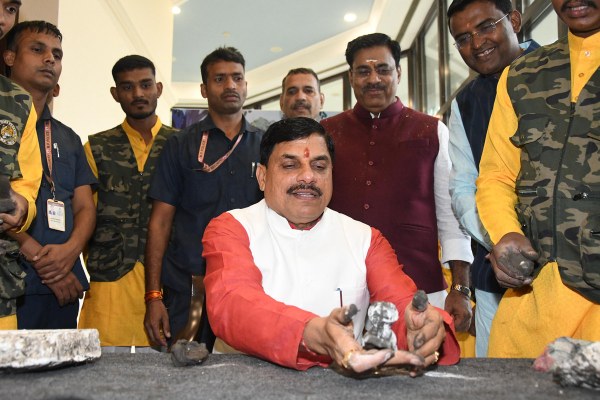 International Tiger Day