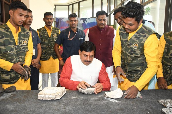 International Tiger Day