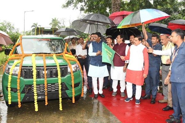 International Tiger Day