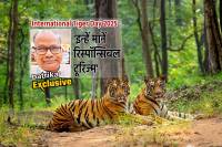 International tiger Day 2025 former IFS Officer on tiger Conservation in Tiger Reserves of MP